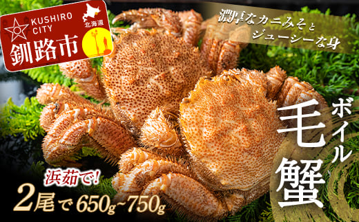 ボイル毛がに(浜茹で急速冷凍)2尾入 (2尾で650~750g) ふるさと納税 かに 蟹 _F4F-0435