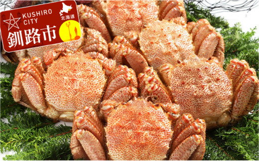 【浜茹で！】ボイル毛ガニ3.0kg 詰め（冷凍）6尾入り ふるさと納税 かに 蟹 _F4F-5473