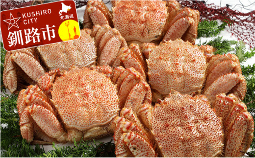 【浜茹で！】ボイル毛ガニ3.0kg 詰め（冷凍）5尾入り ふるさと納税 かに 蟹 _F4F-5472