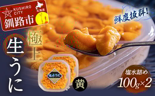 【鮮度抜群！特選・極上えぞバフンうに【黄】】塩水詰め100g×2個 ふるさと納税 うに _F4F-0467