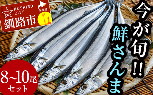 さんま　価格　値段　今が旬!!（鮮度抜群!!釧路産） 鮮さんま 8～10尾 さんま 秋刀魚 サンマ 新鮮 魚 鮮魚 海産物 旬 産地直送 北海道 釧路 _F4F-0606