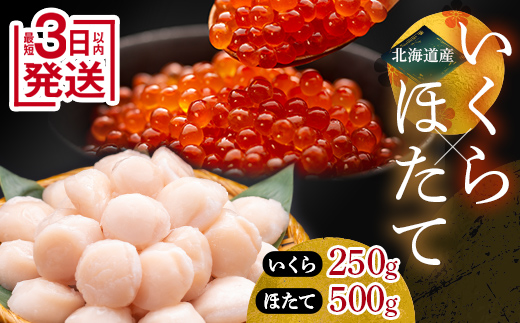 ★レビューキャンペーン実施中！★笹谷商店 北海道産いくら醤油漬け250g＆北海道産ほたて貝柱500g ふるさと納税 海鮮 _F4F-7860