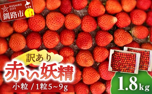 【 訳あり 】赤い妖精 1.8kg(小粒 1粒5~9g) 夏いちご 規格外にて訳あり イチゴ 夏イチゴ 果物 苺 いちご 夏 スィーツ ケーキ フルーツ 北海道 規格外 _F4F-4624