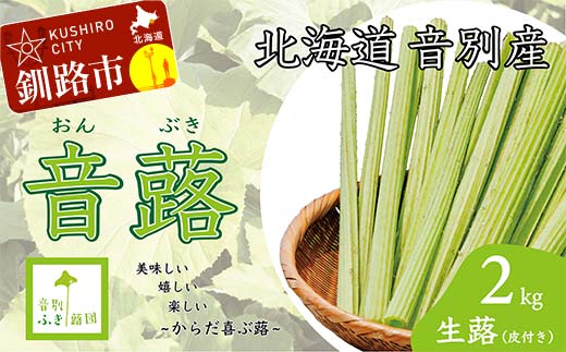 【6月中に順次発送】音蕗(おんぶき) 2kg 無農薬 蕗 フキ ふき 煮しめ 和食 おかず ご飯のお供 音別産生蕗 北海道産 北海道 _F4F-4562
