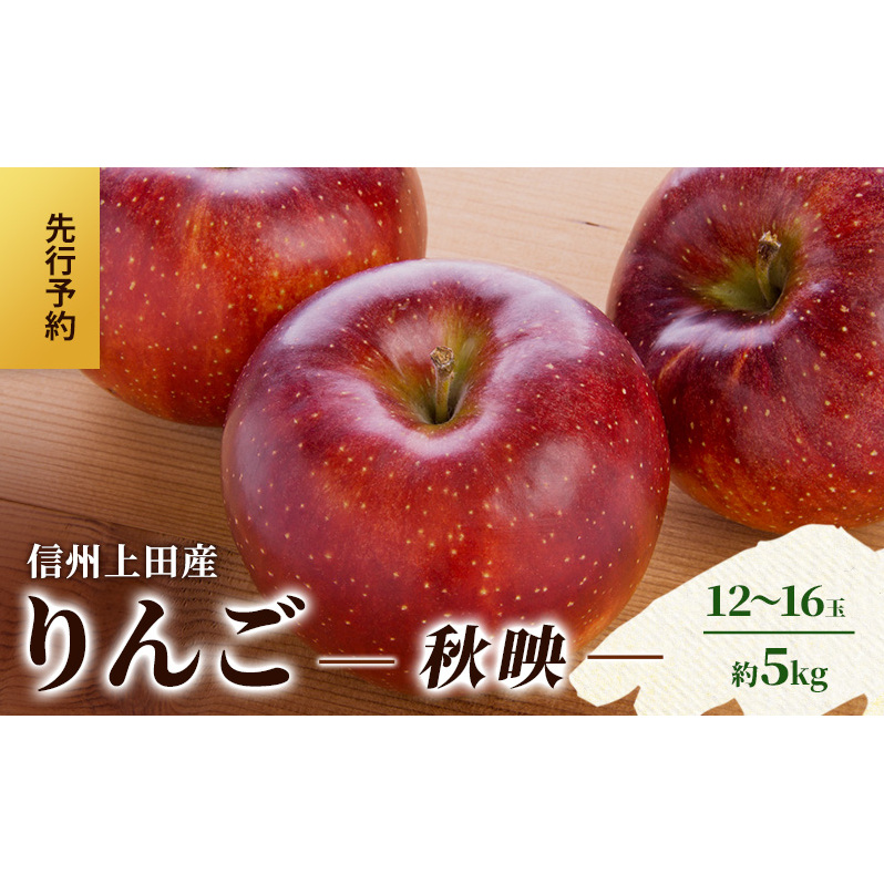 りんご 信州上田産 秋映 家庭用 約5kg 12～16玉 リンゴ 林檎 5kg 果物 くだもの フルーツ デザート 旬の果物 旬のフルーツ 傷 長野県 長野 上田市