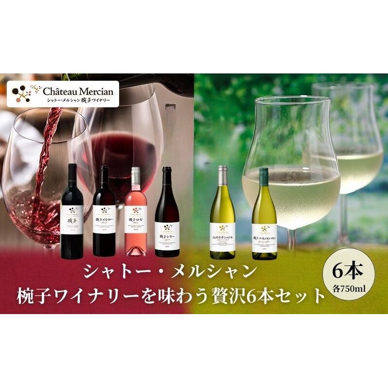 シャトー・メルシャン 椀子ワイナリーを味わう6本セット ワイン 赤ワイン 白ワイン ロゼワイン お酒 酒 アルコール 長野 長野県 上田市