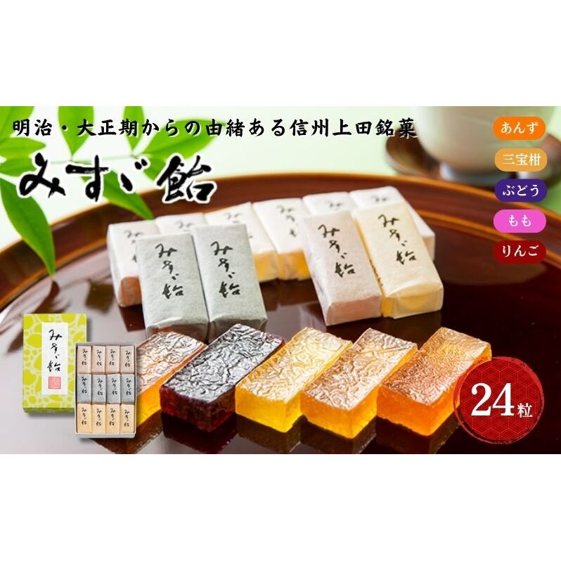 みすゞ飴和紙24粒 銘菓 林檎 ゼリー 和菓子 お菓子 菓子 スイーツ りんご 長野 信州