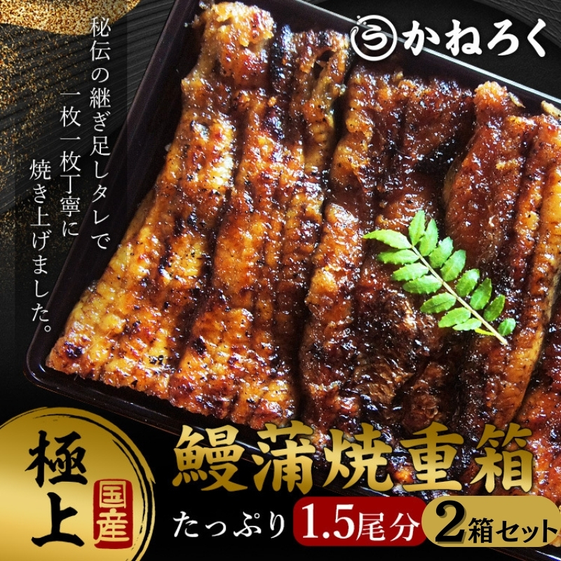 鰻蒲焼重箱「極上」2個セット 山椒・漬物付き ギフト ウナギ 鰻 蒲焼 国産 国内産 プレゼント 誕生日 お歳暮 上田市 コシヒカリ グルメ 贅沢