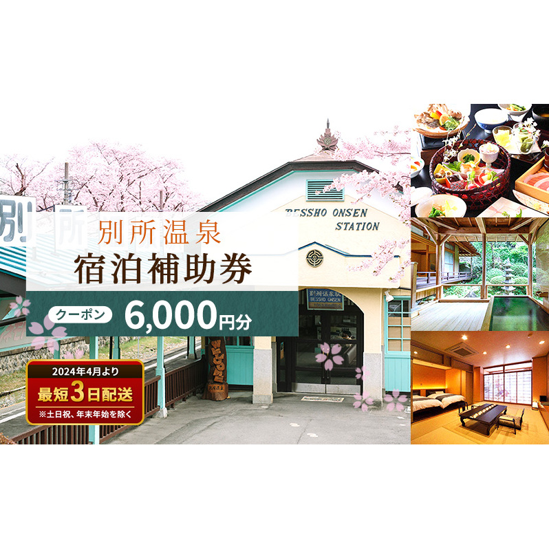 旅行 長野 信州 別所温泉 宿泊 補助券 2枚セット 6,000円 温泉 旅館 旅行券 宿泊券 施設利用券 利用券 トラベル チケット ホテル券 ホテルクーポン ホテル 長野県