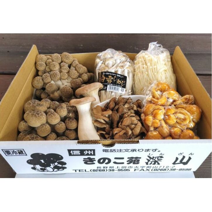 朝採りきのこ6種詰め合わせ
