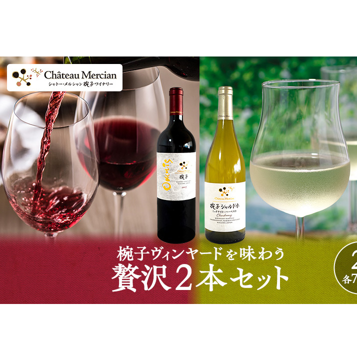 限定 ワイン 椀子ヴィンヤードを味わう贅沢 2本 セット 椀子オムニス 椀子シャルドネ ミッドナイト・ハーベスト 白ワイン 赤ワイン お酒 酒 アルコール 飲み比べセット ギフト 贈り物 プレゼント