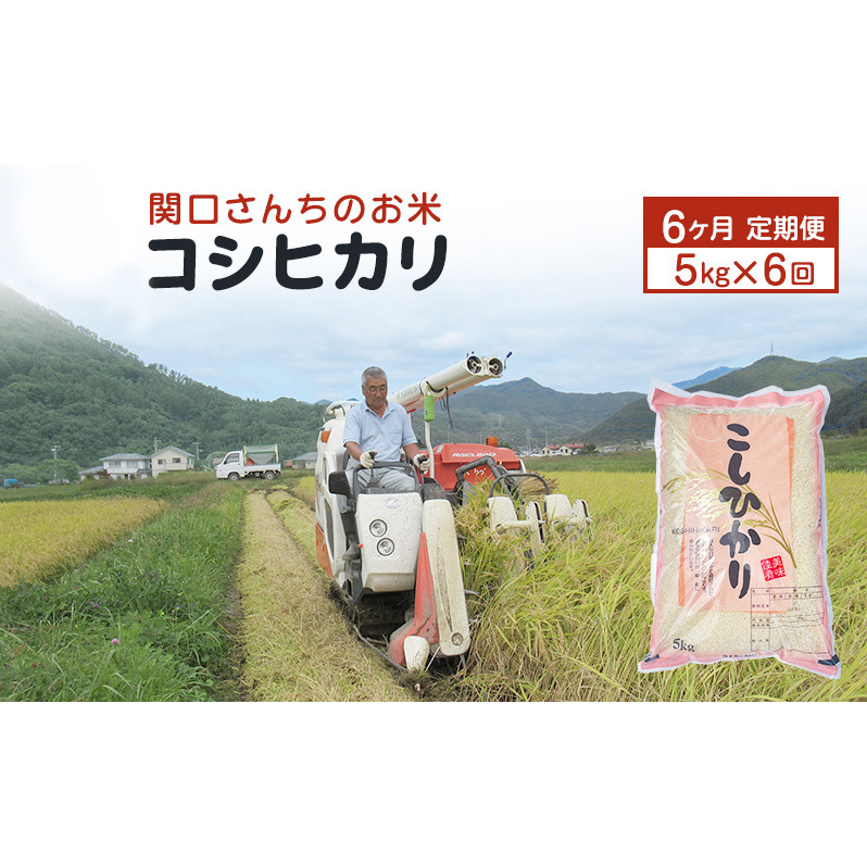 米 定期便 6ヶ月 関口さんちのお米 コシヒカリ 5kg お米 こめ コメ 精米 白米 ご飯 こしひかり 長野 信州 6回 半年 お楽しみ