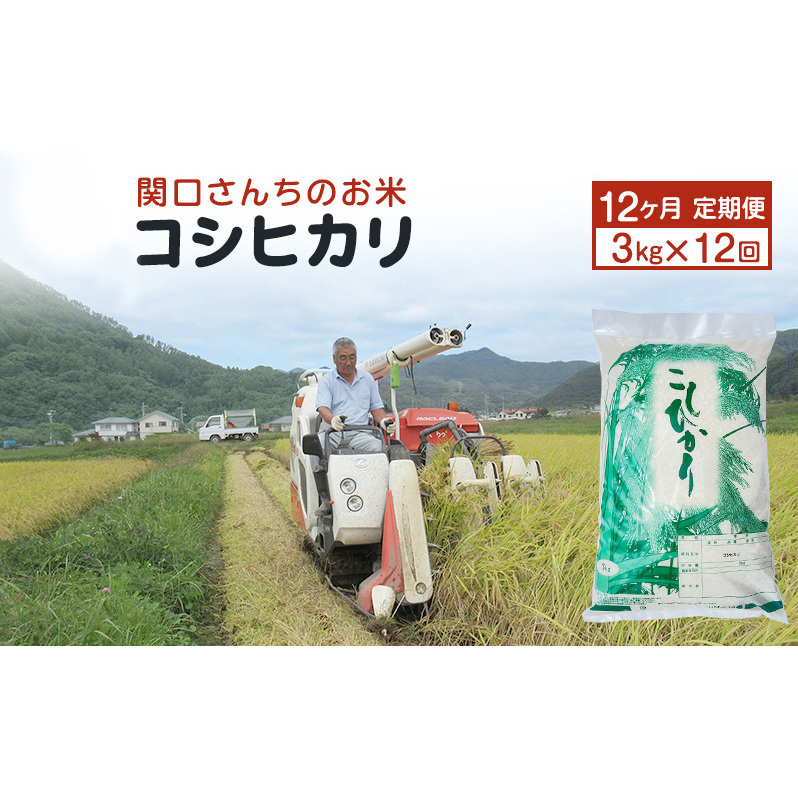 米 定期便 12ヶ月 関口さんちのお米 コシヒカリ 3kg お米 こめ コメ 精米 白米 ご飯 こしひかり 長野 信州 12回 お楽しみ