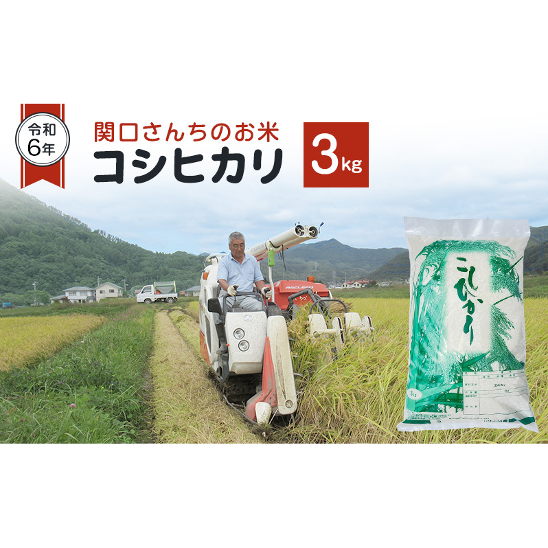 米 令和7年 関口さんちのお米 コシヒカリ 3kg お米 こめ コメ 精米 白米 ご飯 こしひかり 長野 信州