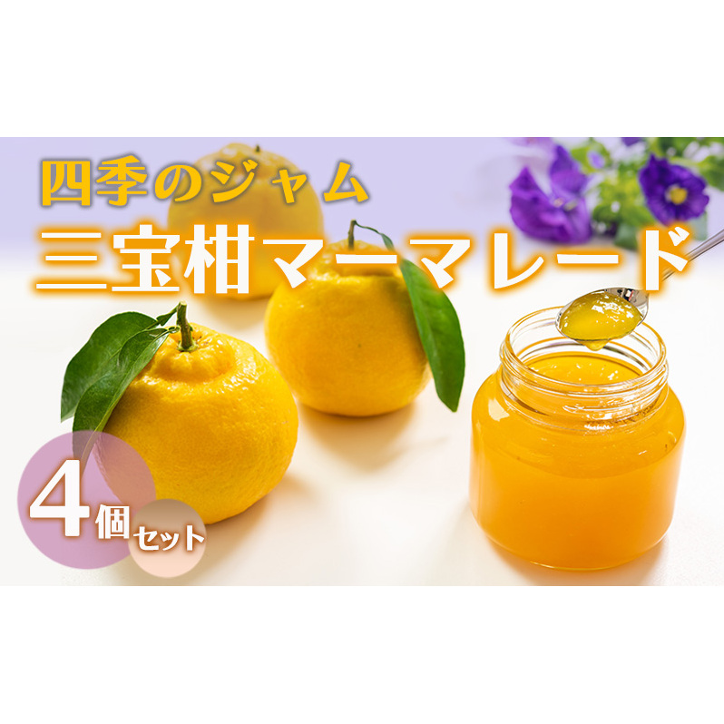 ジャム 長野 四季のジャム 三宝柑 マーマレード 4個 セット 飯島商店 スライスした皮入り みかんジャム みかん 柑橘 朝ごはん 朝食 パン フルーツ 果物 デザート スイーツ ギフト プレゼント 贈答 贈り物 調味料 長野県 上田市 上田