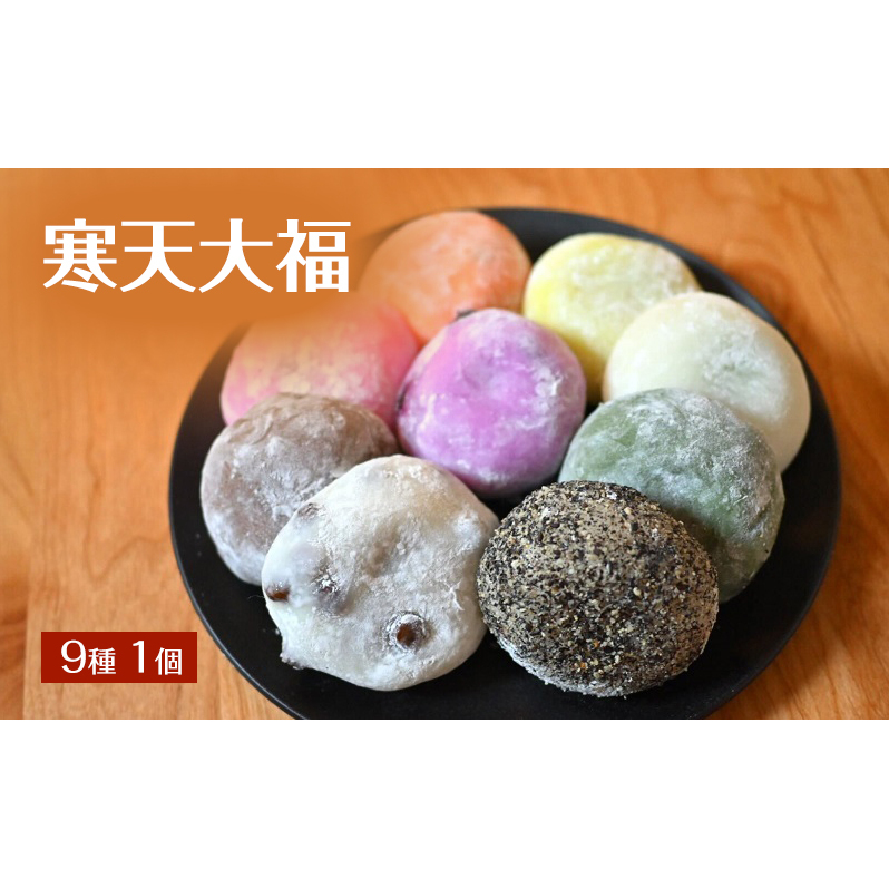 寒天大福 9種1個 詰め合わせ セット 大福 餅 大福餅 菓子 和菓子 冷凍 長野