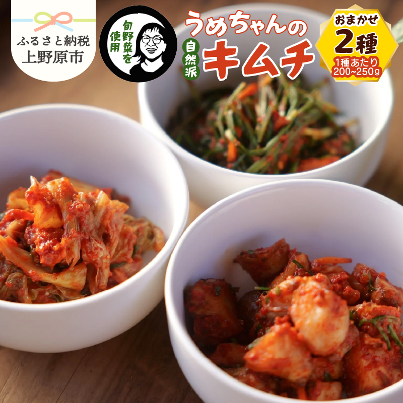 [ふるさと納税]キムチ 漬物 手作り 自然派 旬野菜 農薬未使用野菜 韓国料理 ご飯のお供 プレゼント 贈答 贈り物 送料無料 山梨県 上野原市