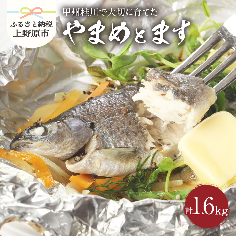 [ふるさと納税] 魚 川魚 やまめ ます セット ギフト 和食 セット 桂川 詰め合わせ 贈答 贈り物 送料無料 ※沖縄県、離島不可 山梨県 上野原市