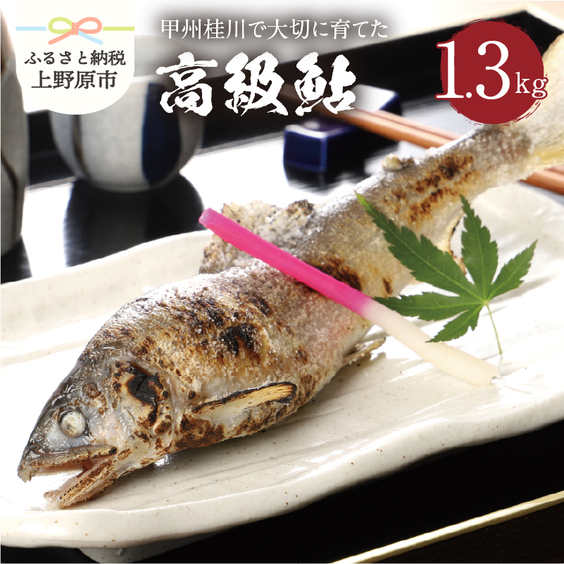 [ふるさと納税] 魚 川魚 鮎 あゆ 桂川 甲州桂川の鮎(Aセット) 1.3kg (14〜16尾) 贈答 贈り物 送料無料 ※沖縄県、離島不可 山梨県 上野原市