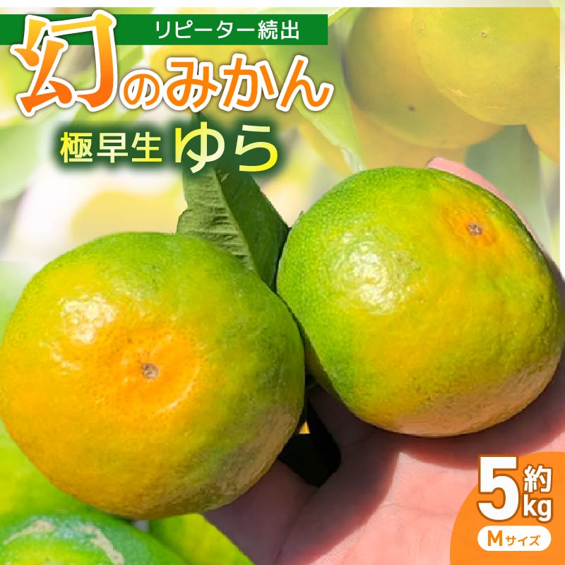 先行予約服部さんが育てた「ゆら早生みかん」Mサイズ 5kg 早期予約 家庭用 みかん 5kg Mサイズ 柑橘 蜜柑 ゆら早生 期間限定 季節限定 先行予約 ふるさと納税 人気 高知 安田町 HT-03