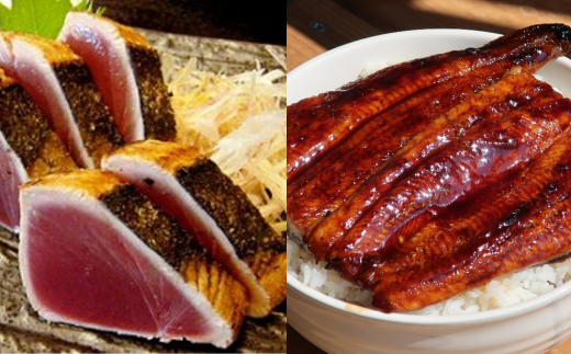 カツオのたたき 国産うなぎ蒲焼 半年 6ヶ月 定期便 6ヶ月 定期便 藁焼き かつお たたき 国産 うなぎ 蒲焼き 鰻 かば焼き 鰹たたき 鰹 魚 魚介類 刺身 高知 本場 人気 鰹のたたき ふるさと納税 KT-01