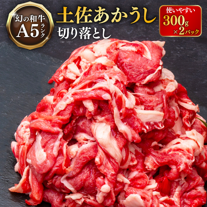 「土佐あかうし」切り落とし600g 牛肉 和牛 切り落とし 600g 土佐あかうし 土佐 あかうし ブランド牛 国産 国産牛 人気 お取り寄せ 冷凍 BBQ バーベキュー 焼肉 焼き肉 贈答 高知 安田町 MT-01