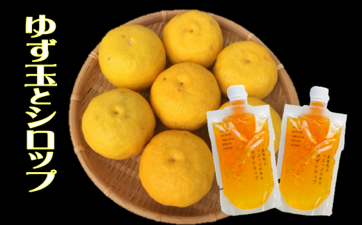 柚子三昧 ゆず玉 ゆずシロップ セット 期間限定 ゆず 柚子 シロップ 詰め合わせ セット 数量限定 6個 200g 2パック ギフト 贈り物 プレゼント  料理 お酒  TR-18