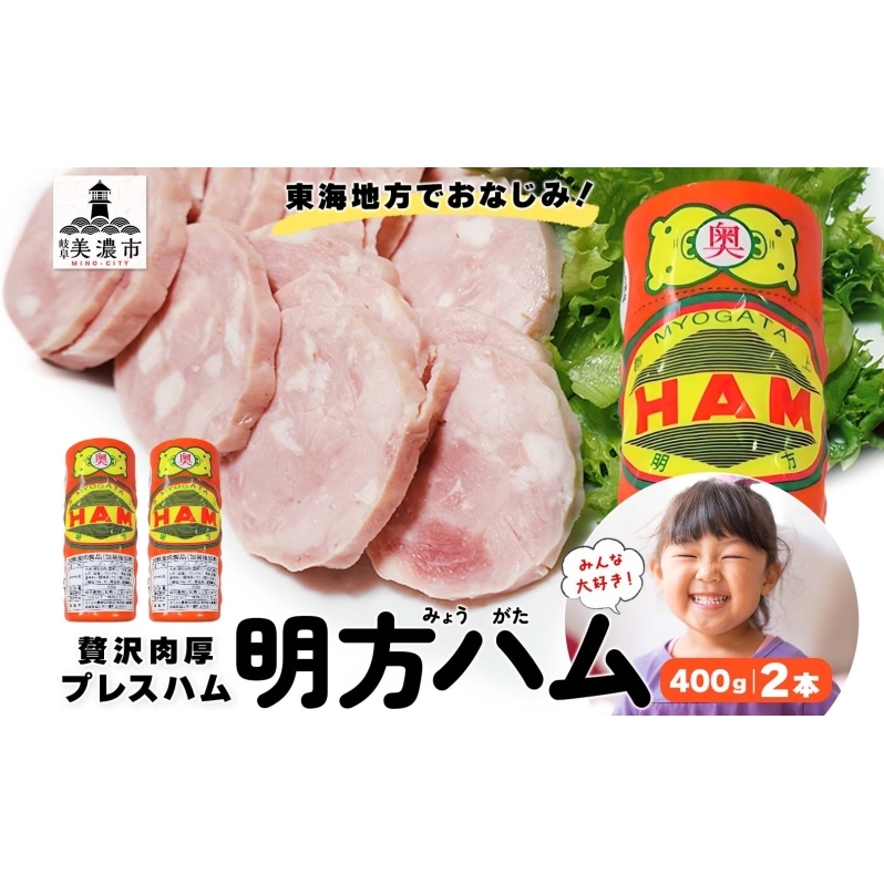 【9月中旬ごろより順次発送】明方 ハム 2本 プレスハム JA ブランド 高級 豚肉 お肉 国産 熟成 塩分 控えめ 天然 豚腸 バーベキュー BBQ 加工品 お取り寄せ 贈答 ギフト 送料無料 めぐみの農業協同組合 岐阜県 美濃市