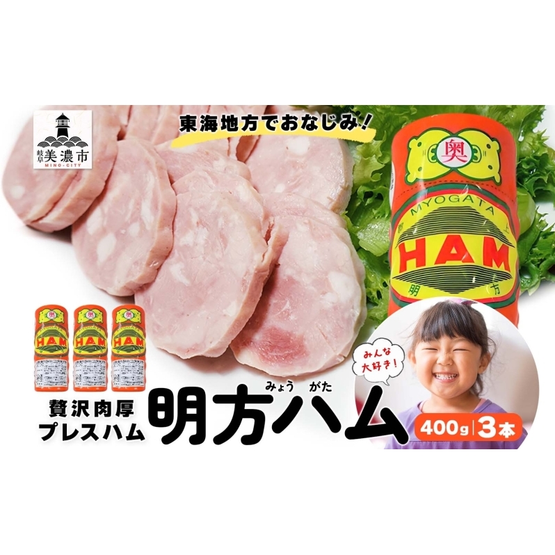 【9月中旬ごろより順次発送】明方 ハム 3本 プレスハム JA ブランド 高級 豚肉 お肉 国産 熟成 塩分 控えめ 天然 豚腸 バーベキュー BBQ 加工品 お取り寄せ 贈答 ギフト 送料無料 めぐみの農業協同組合 岐阜県 美濃市