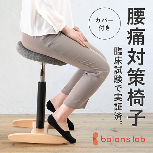バランス シナジー(カバー付き) 椅子 腰痛 対策 イス カバー バランスラボ 岐阜県 美濃市