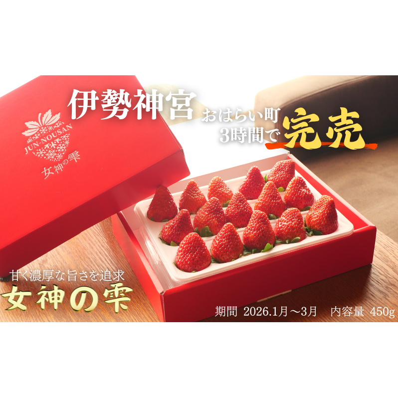【伊勢神宮おはらい町で3時間で完売】グルメ家が「今までで1番旨い」とうなったイチゴ【女神の雫】 2026年1月 2月 3月 4月 450g 岐阜県 美濃市 じゅん農産 2 苺