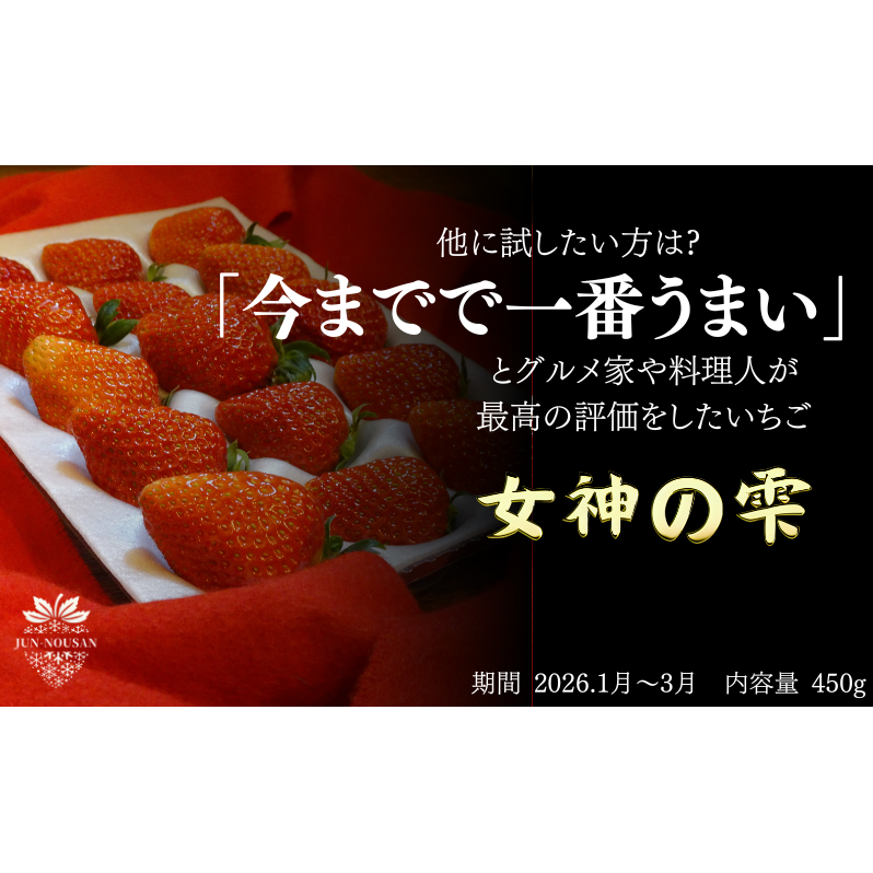 「今までで1番うまい」とうなったイチゴ【女神の雫】 2026年1月 2月 3月 4月 450g 岐阜県 美濃市 じゅん農産 1 苺