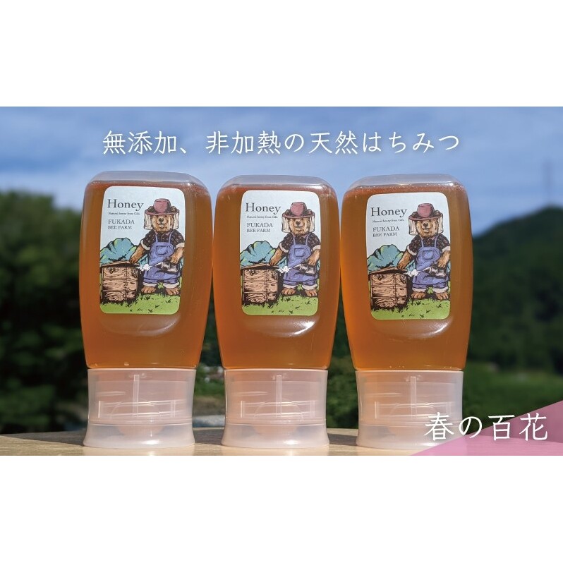 合計900g 天然蜂蜜 国産蜂蜜 非加熱 生はちみつ 岐阜県 美濃市産 春 (蜂蜜300g入りピタッとボトル3本セット)A11 深田養蜂のハチミツ