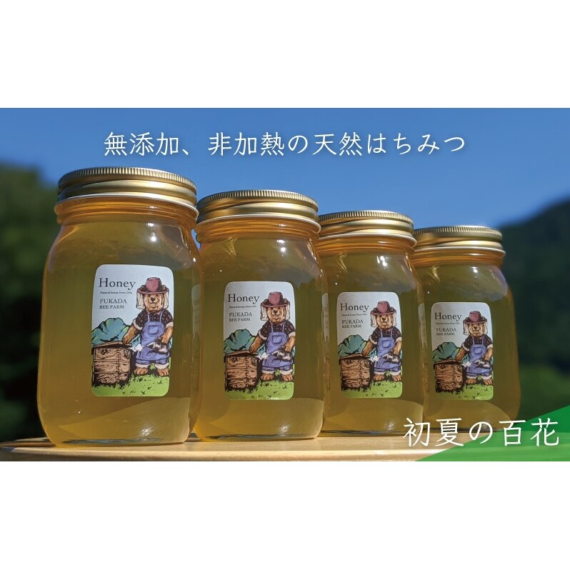 合計2400g 天然蜂蜜 国産蜂蜜 非加熱 生はちみつ 岐阜県 美濃市産 初夏 (蜂蜜600g入りガラス瓶4本)B8 深田養蜂のハチミツ