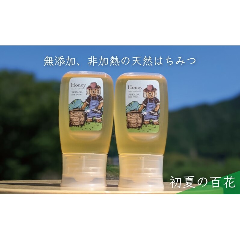 合計600g 天然蜂蜜 国産蜂蜜 非加熱 生はちみつ 岐阜県 美濃市産 初夏 (蜂蜜300g入りピタッとボトル2本セット)B10 深田養蜂のハチミツ