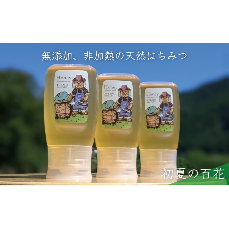 合計900g 天然蜂蜜 国産蜂蜜 非加熱 生はちみつ 岐阜県 美濃市産 初夏 (蜂蜜300g入りピタッとボトル3本セット)B11 深田養蜂のハチミツ