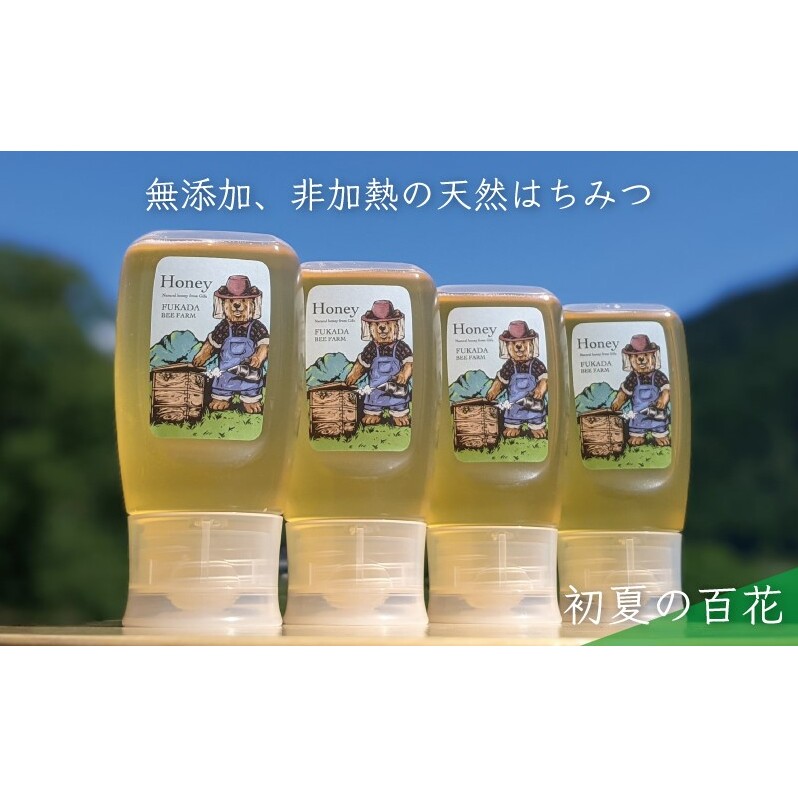 合計1200g 天然蜂蜜 国産蜂蜜 非加熱 生はちみつ 岐阜県 美濃市産 初夏 (蜂蜜300g入りピタッとボトル4本セット)B12 深田養蜂のハチミツ
