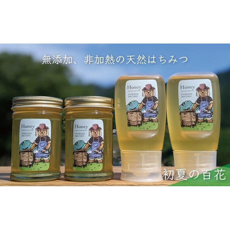 合計1060g 天然蜂蜜 国産蜂蜜 非加熱 生はちみつ 岐阜県 美濃市産 初夏 (蜂蜜230g入りガラス瓶2本、蜂蜜300g入りピタッとボトル2本のセット)B14 深田養蜂のハチミツ