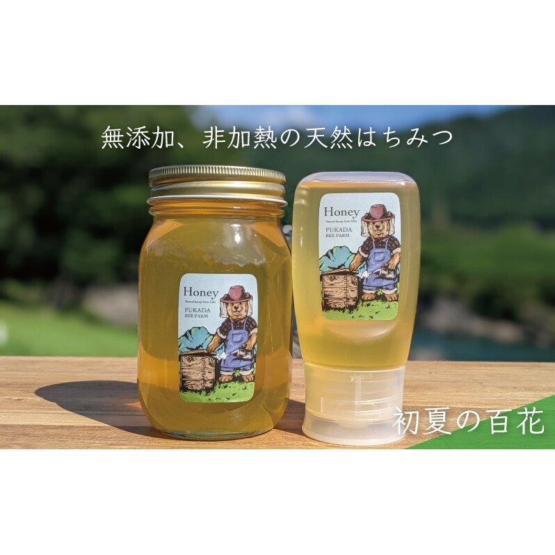 合計900g 天然蜂蜜 国産蜂蜜 非加熱 生はちみつ 岐阜県 美濃市産 初夏 (蜂蜜600g入りガラス瓶1本、蜂蜜300g入りピタッとボトル1本のセット)B15 深田養蜂のハチミツ