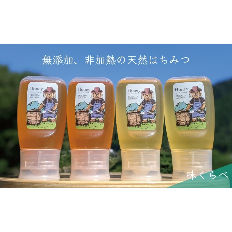 【先行予約 2025年6月20日より発送】合計1200g 天然蜂蜜 国産蜂蜜 非加熱 生はちみつ 岐阜県 美濃市産 味比べ 蜂蜜300g入りピタッとボトル4本セットC6 深田養蜂のハチミツ