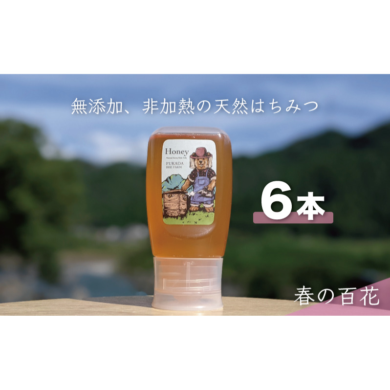 合計1800g 天然蜂蜜 国産蜂蜜 非加熱 生はちみつ 岐阜県 美濃市産 春 (蜂蜜300g入りピタッとボトル6本セット) A17 深田養蜂のハチミツ