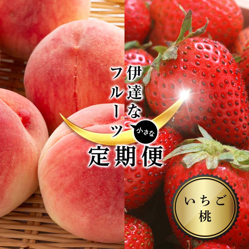 ＜2026年から開始の定期便＞伊達な小さなフル－ツ定期便（いちご約500g・桃約1kg）果物 フルーツ 桃 モモ 苺 イチゴ 福島県 伊達市 F21C-017