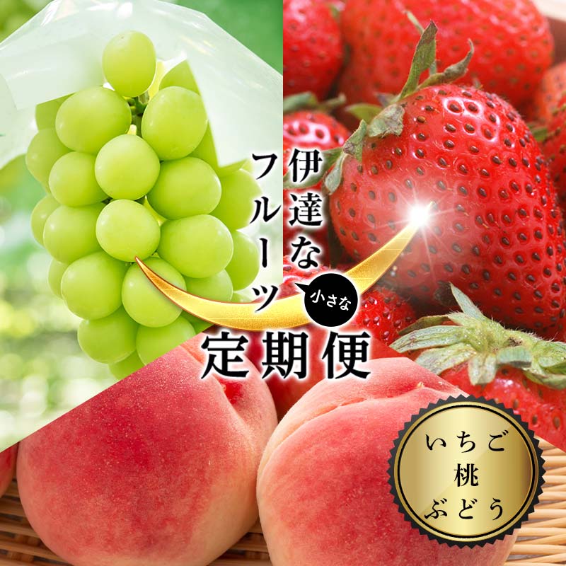 <2026年から開始の定期便>伊達な小さなフル-ツ定期便(いちご約500g・桃約1kg・ぶどう1房)果物 フルーツ 桃 モモ 苺 イチゴ 葡萄 ブドウ 福島県 伊達市 F21C-019