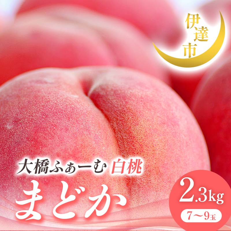 2025年出荷分 先行予約 福島県産 まどか 2.3kg 2025年7月下旬～2025年8月上旬発送 先行予約 予約 伊達の桃 伊達市 桃 贈り物 贈答 ギフト もも モモ 果物 くだもの フルーツ 国産 食品 F21C-014