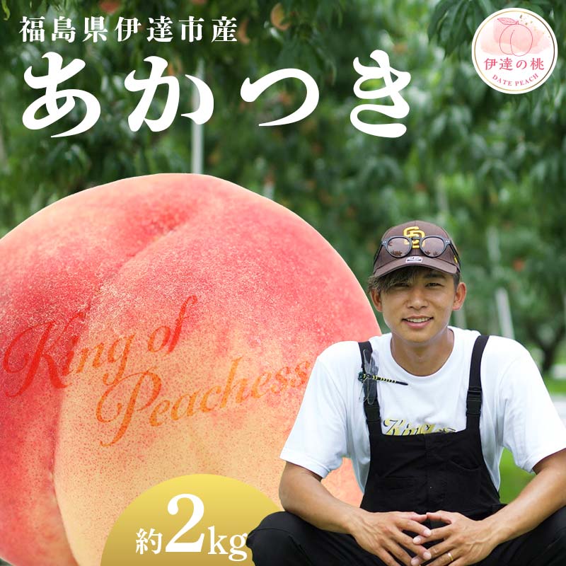 【2026年出荷分先行予約】福島県産 あかつき 約2kg (6～8玉) KING OF PEACHESS キングオブピーチ 伊達の桃 桃 フルーツ 果物 もも モモ momo F21C-131