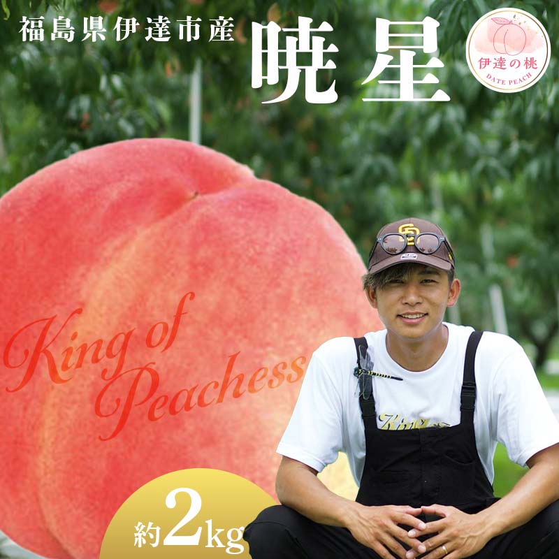 【2026年出荷分先行予約】福島県産 暁星 約2kg (6～8玉) KING OF PEACHESS キングオブピーチ ぎょうせい 伊達の桃 桃 フルーツ 果物 もも モモ momo F21C-139