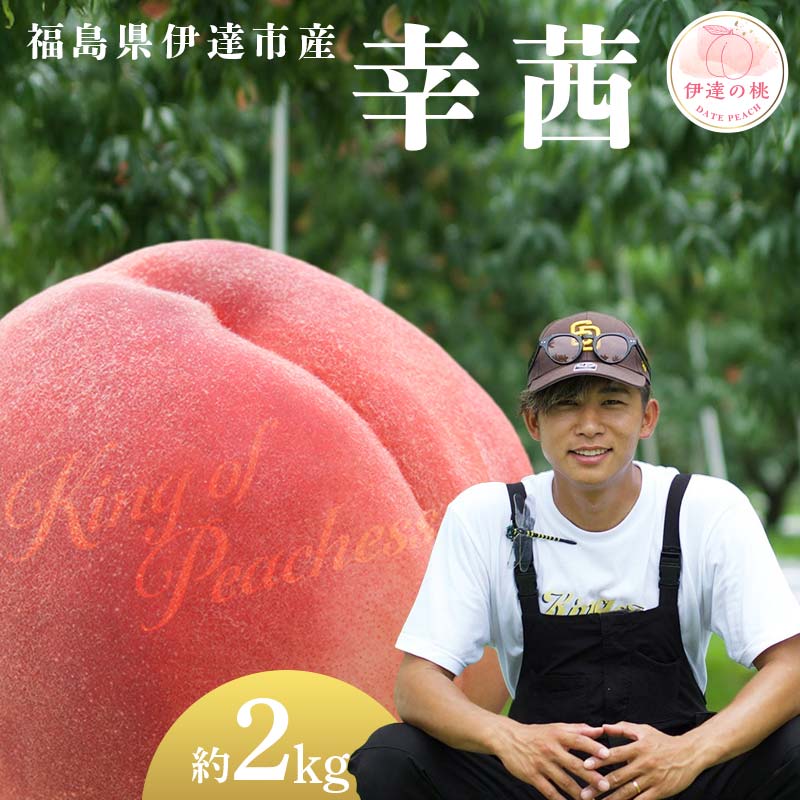 【2026年出荷分先行予約】福島県産 幸茜 約2kg (6～8玉) KING OF PEACHESS キングオブピーチ さちあかね 伊達の桃 桃 フルーツ 果物 もも モモ momo F21C-141
