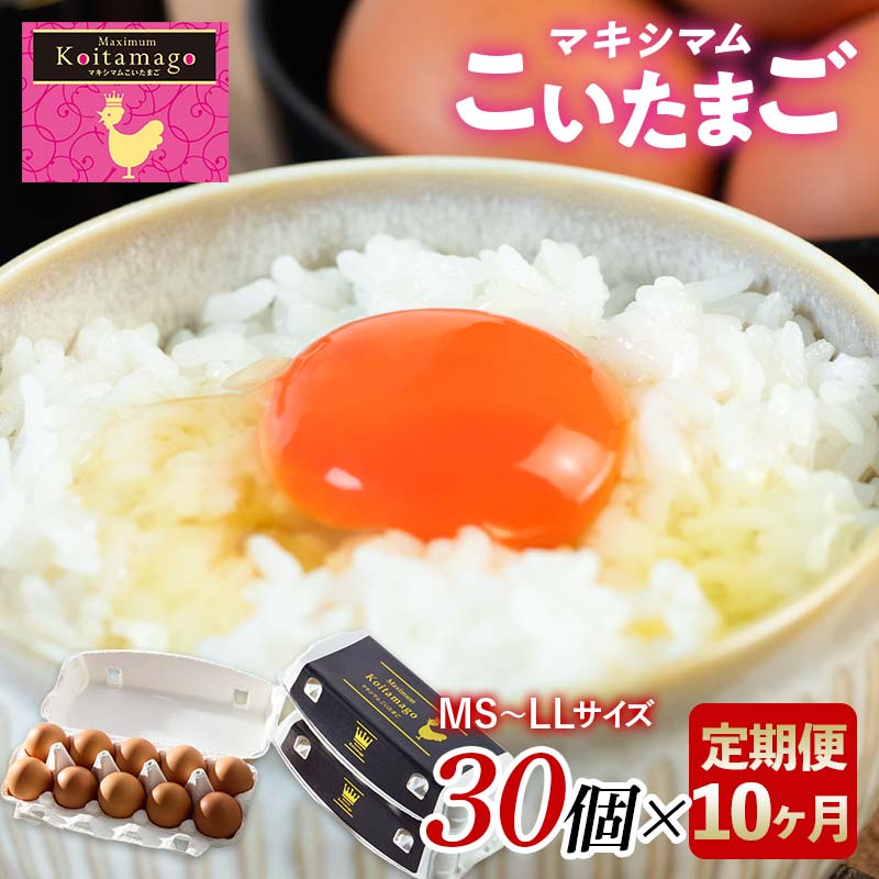 【TVで話題沸騰!】10か月定期便!とにかく黄身が濃いたまご「マキシマムこいたまご」30個入り 伊達市 福島県 国産 MS~LLサイズ 卵 たまご 玉子 生卵 鶏卵 F21C-190