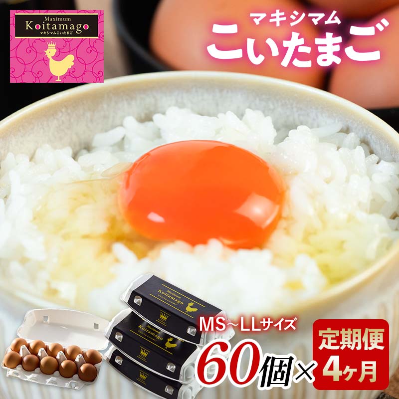【TVで話題沸騰!】4か月定期便!とにかく黄身が濃いたまご「マキシマムこいたまご」60個入り 伊達市 福島県 国産 MS~LLサイズ 卵 たまご 玉子 生卵 鶏卵 F21C-195
