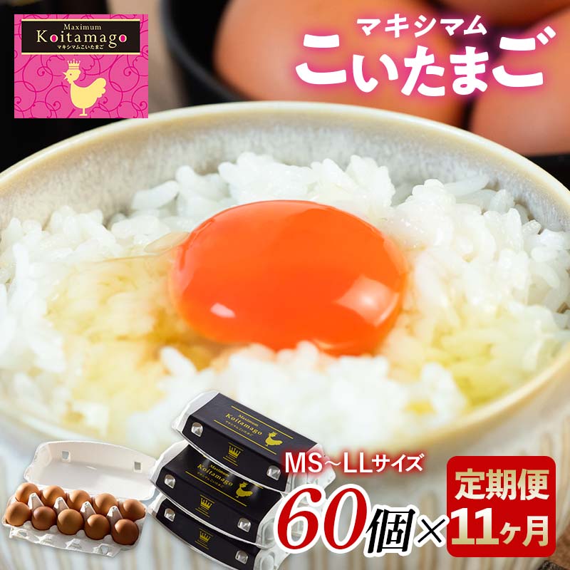 【TVで話題沸騰!】11か月定期便!とにかく黄身が濃いたまご「マキシマムこいたまご」60個入り 伊達市 福島県 国産 MS~LLサイズ 卵 たまご 玉子 生卵 鶏卵 F21C-202